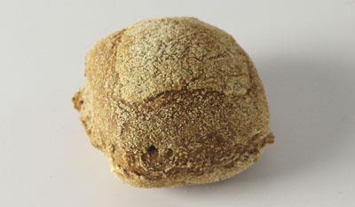 Oldnordisk bolle